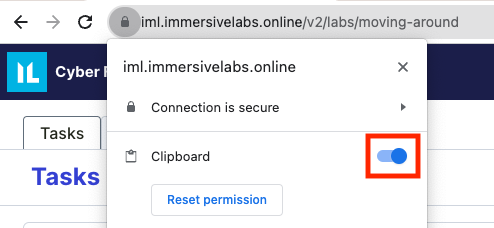 Clipboard_Support_allow_clipboard.png