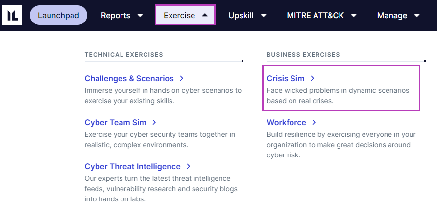accessing_crisis_sim.png